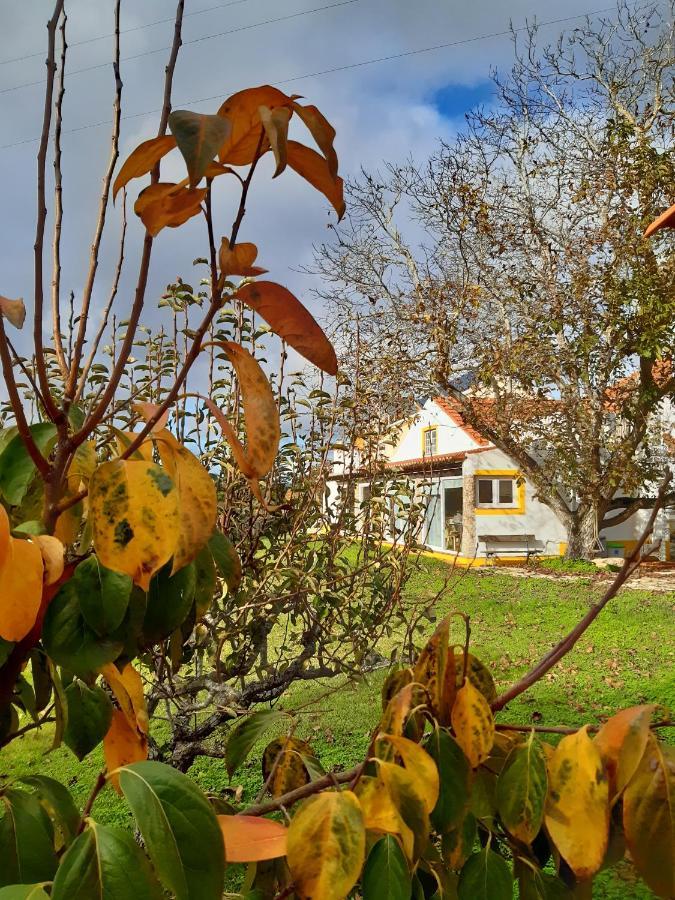 Quintal Do Freixo - Country House Собрал-ди-Монти-Аграсу Экстерьер фото